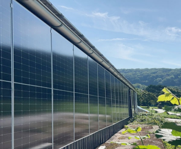 PV Energy Storage System (PVESS)